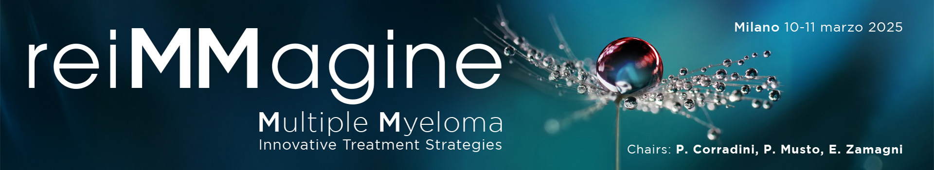 ReiMMagine Multiple Myeloma Innovative Treatment Strategies